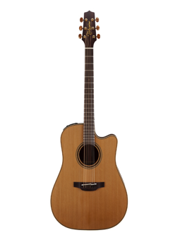 Takamine P3DC Takamine P3DC