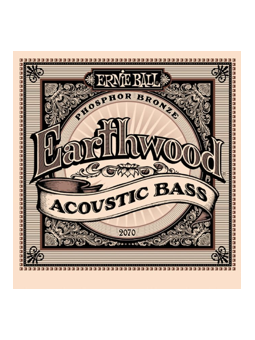 Ernie Ball 2070 - Earthwood Acoustic Bass Ernie Ball 2070 - Earthwood Acoustic Bass